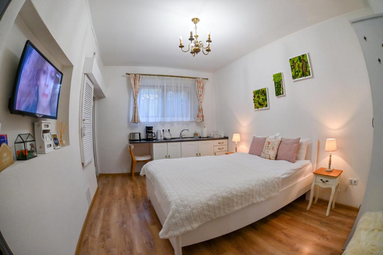 Transilvania Apartment シビウ エクステリア 写真