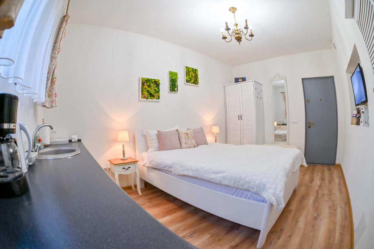 Transilvania Apartment シビウ エクステリア 写真